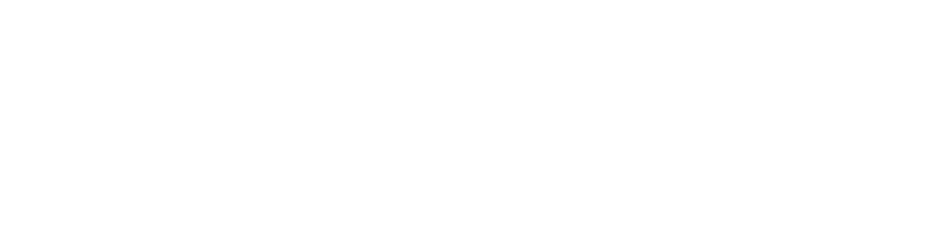 NaProxy logo white